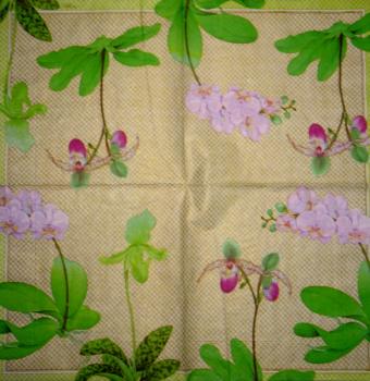123 Orchids - 3-ply (gold) - Caspari